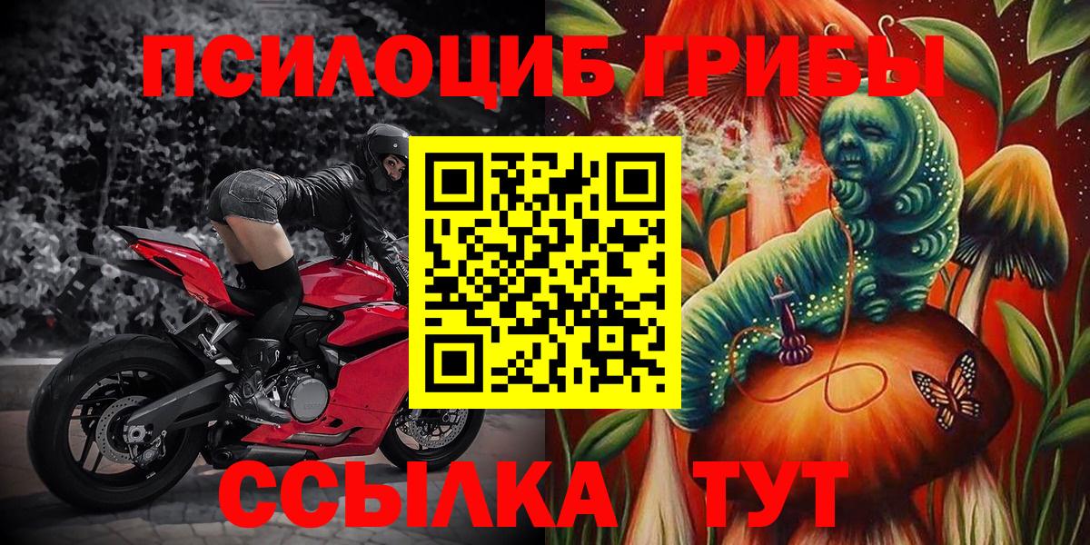 Псилоцибиновые грибы мицелий Новый Уренгой